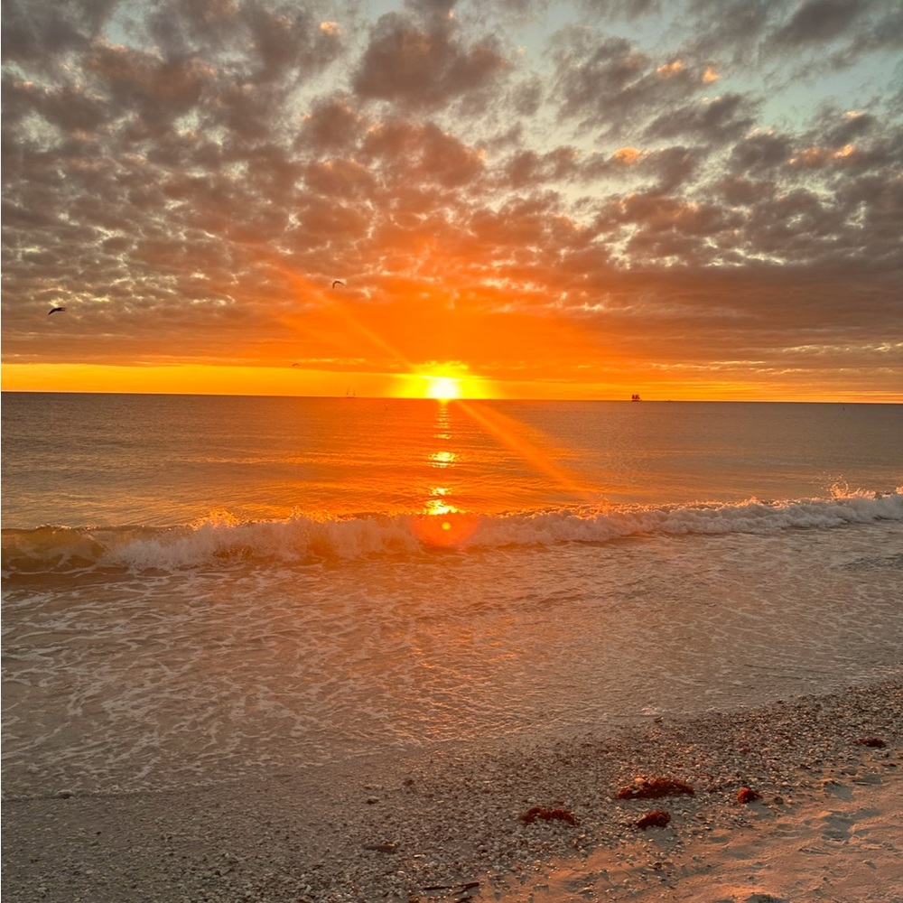 LIVE SHOW ITEMS LISTING